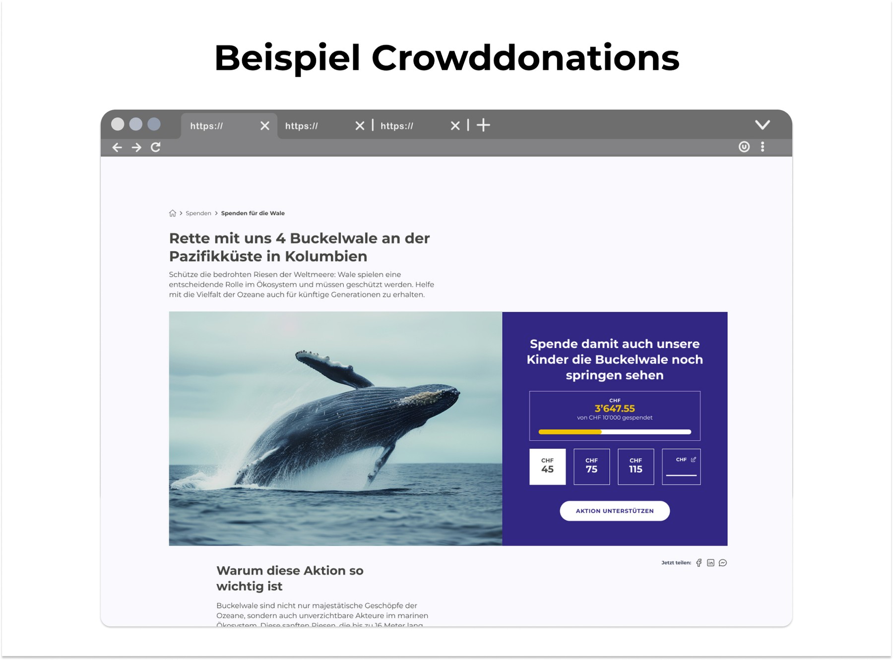 Crowddonation Online Spenden